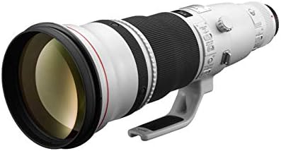 EF 600mm F4L IS II USMレンズの写真